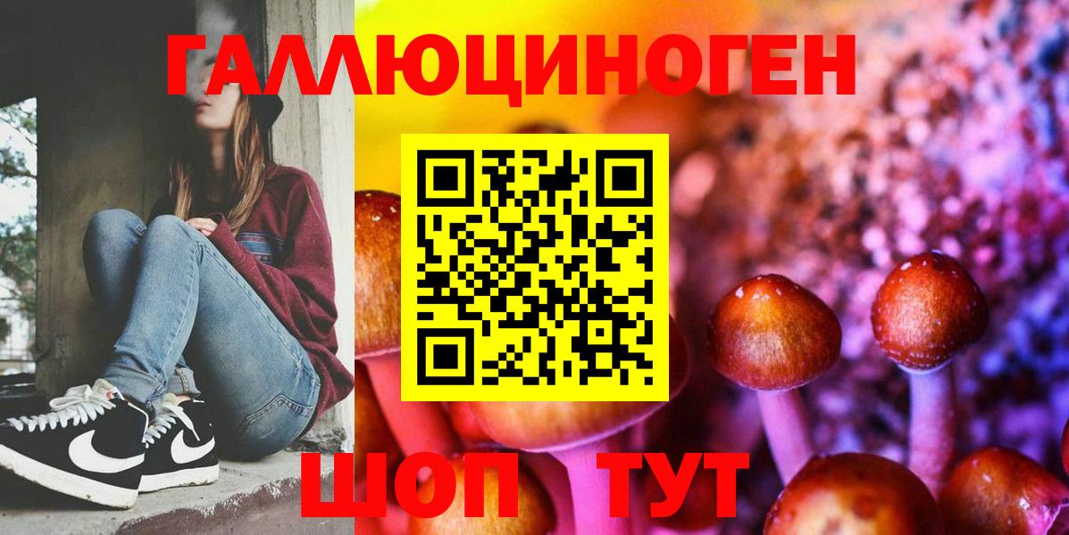 как найти наркотики  Псилоцибиновые грибы Psilocybe  Вход с VPN  Галлюциногенные грибы Psilocybine cubensis  Камень-на-Оби 