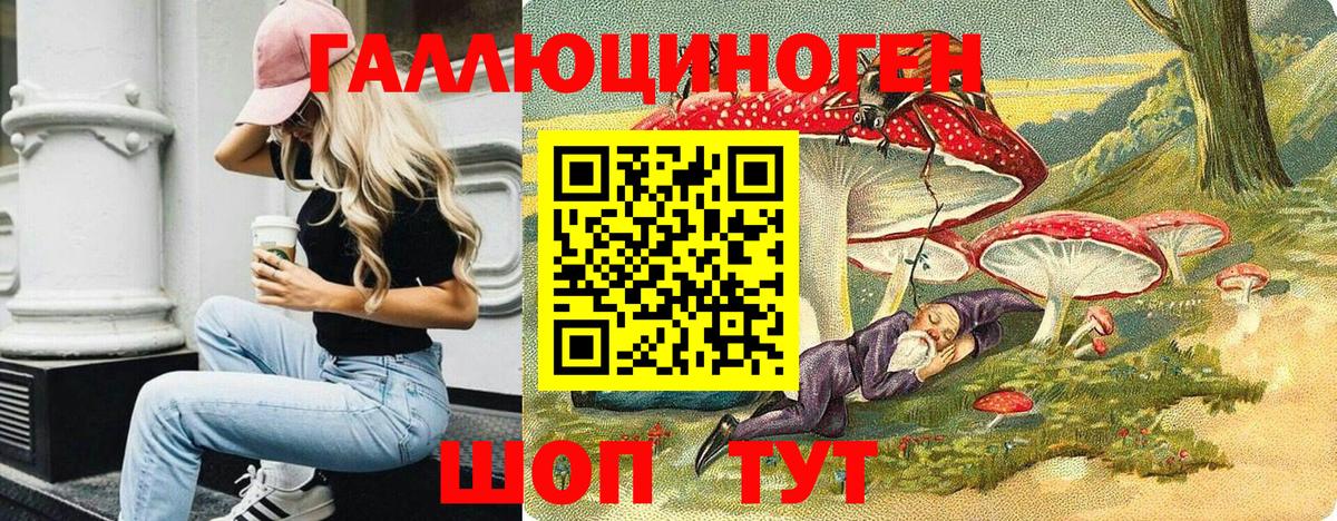 Псилоцибиновые грибы Cubensis Камень-на-Оби